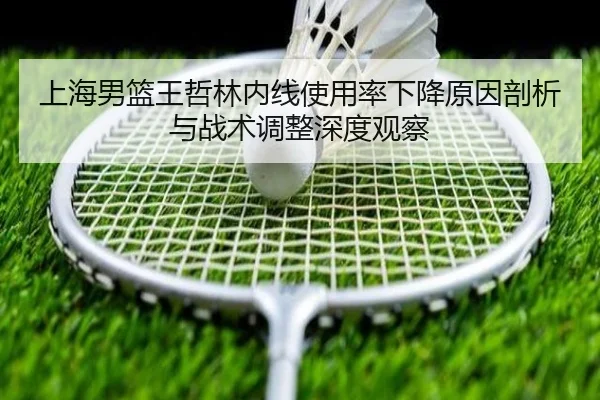 上海男篮王哲林内线使用率下降原因剖析与战术调整深度观察