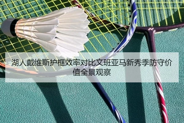 湖人戴维斯护框效率对比文班亚马新秀季防守价值全景观察