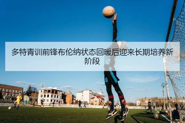 多特青训前锋布伦纳状态回暖后迎来长期培养新阶段 | kaiyun